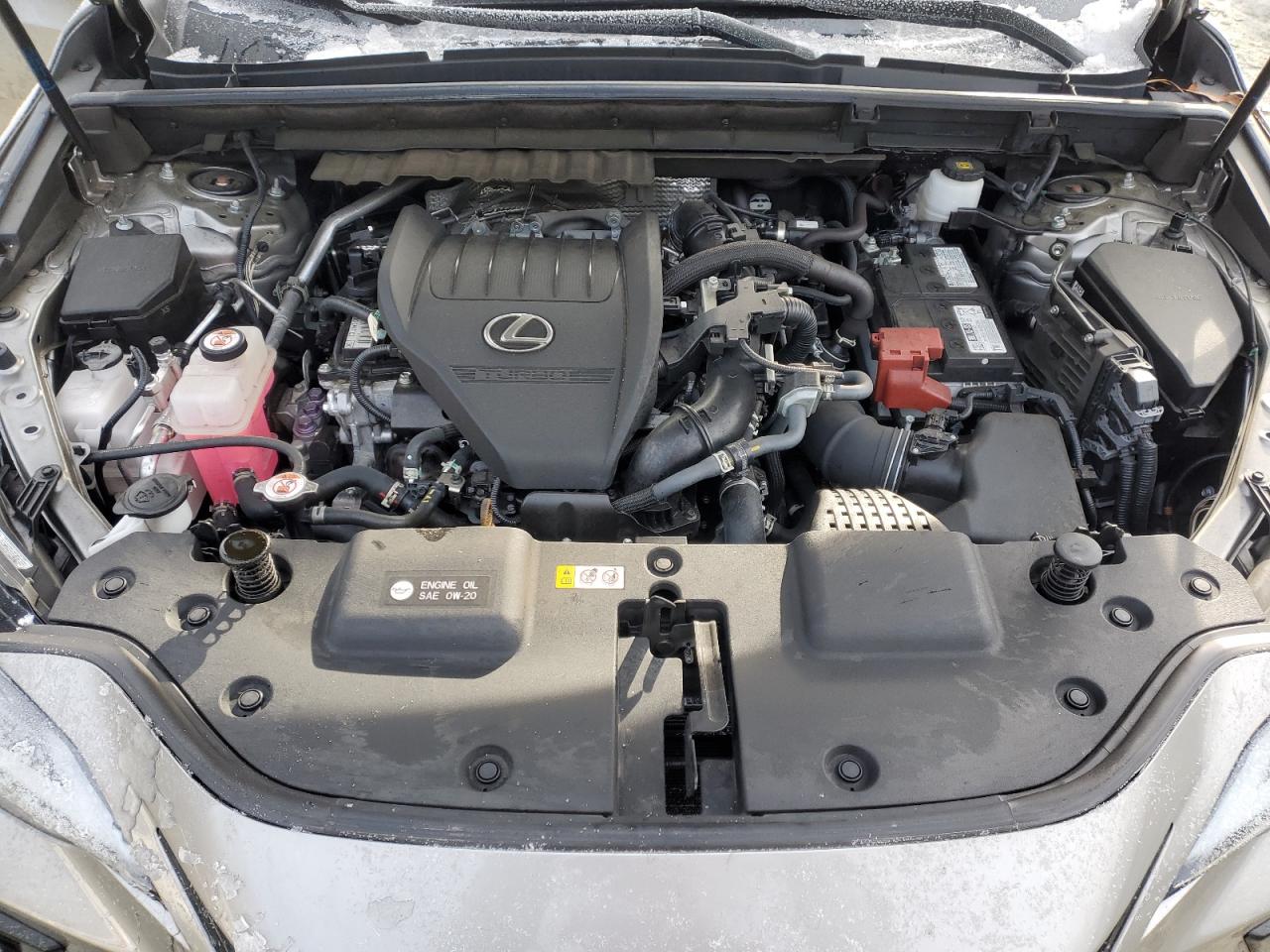 2023 Lexus NX - Image 13