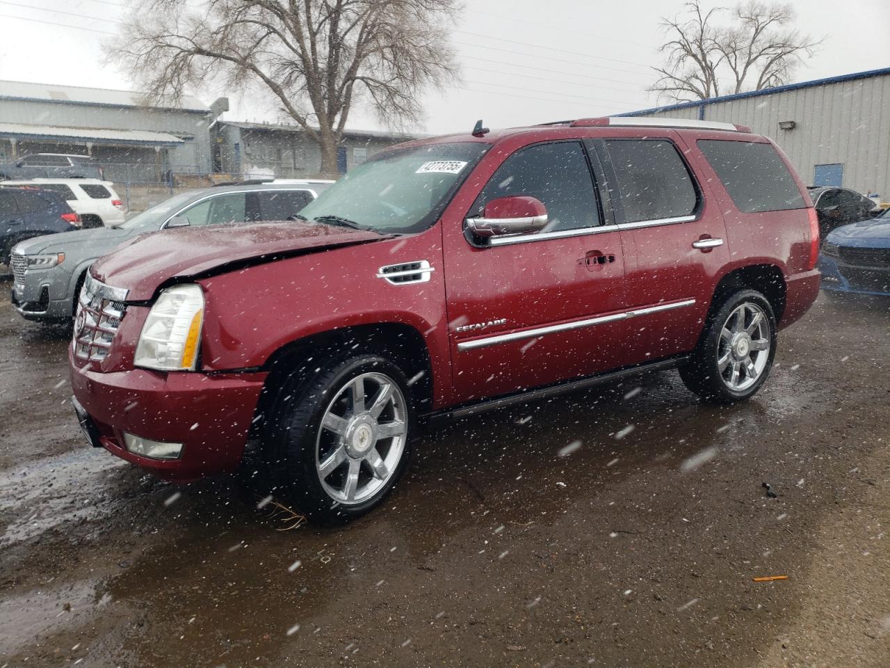 Albuquerque, NM에서 판매 중인 2011 Cadillac Escalade Premium - Front End