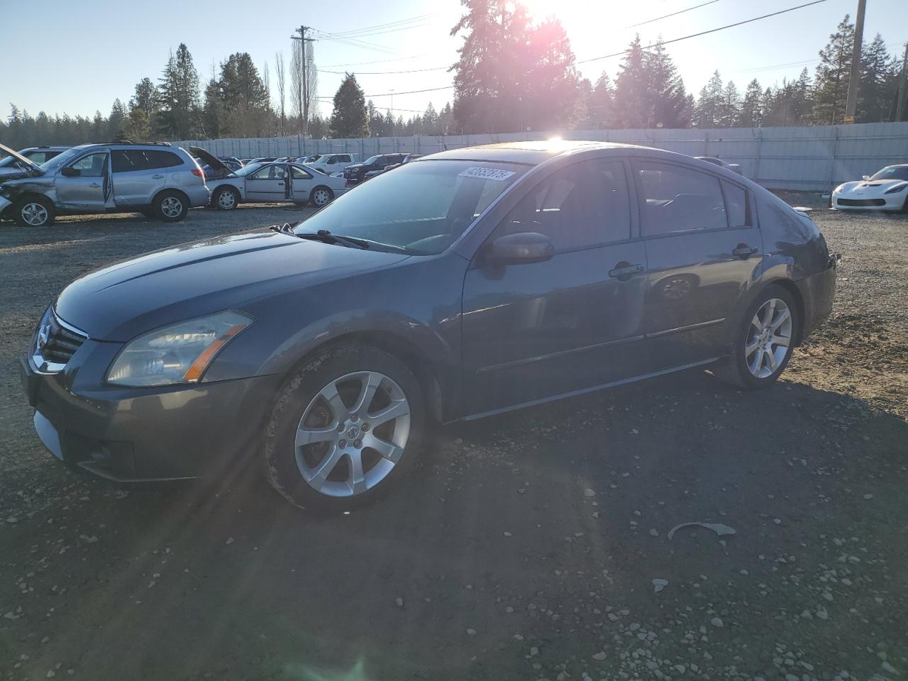 2007 Nissan Maxima - Image 1