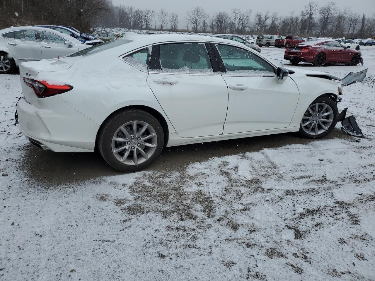2023 Acura TLX - Image 3