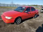 1996 Toyota Corolla  for Sale in Houston, TX - Rear End