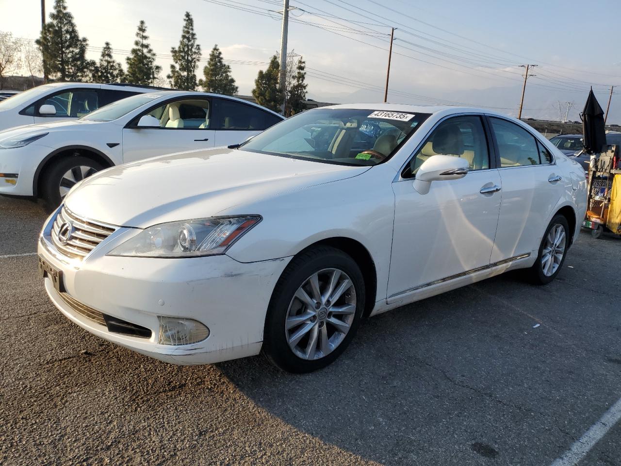 2010 Lexus ES - Image 1