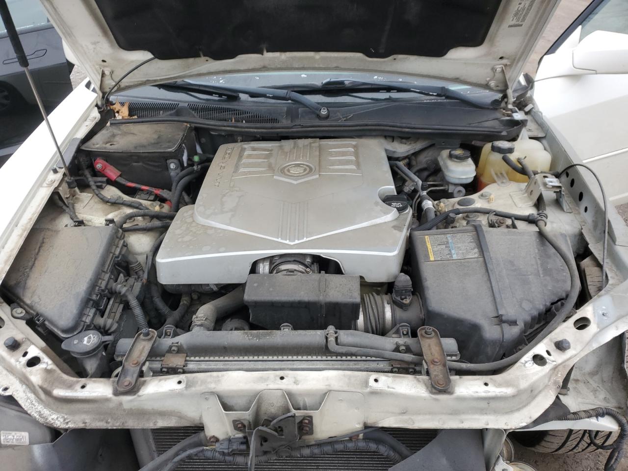 2004 Cadillac Cts VIN: 1G6DM577540155772 Lot: 88411265