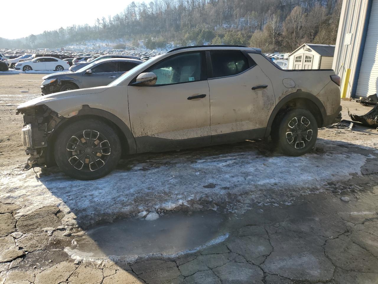 2024 Hyundai Santa Cruz Sel zu verkaufen in Hurricane, WV - All Over