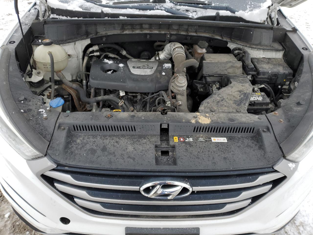 VIN KM8J33A24HU300394 2017 HYUNDAI TUCSON no.12