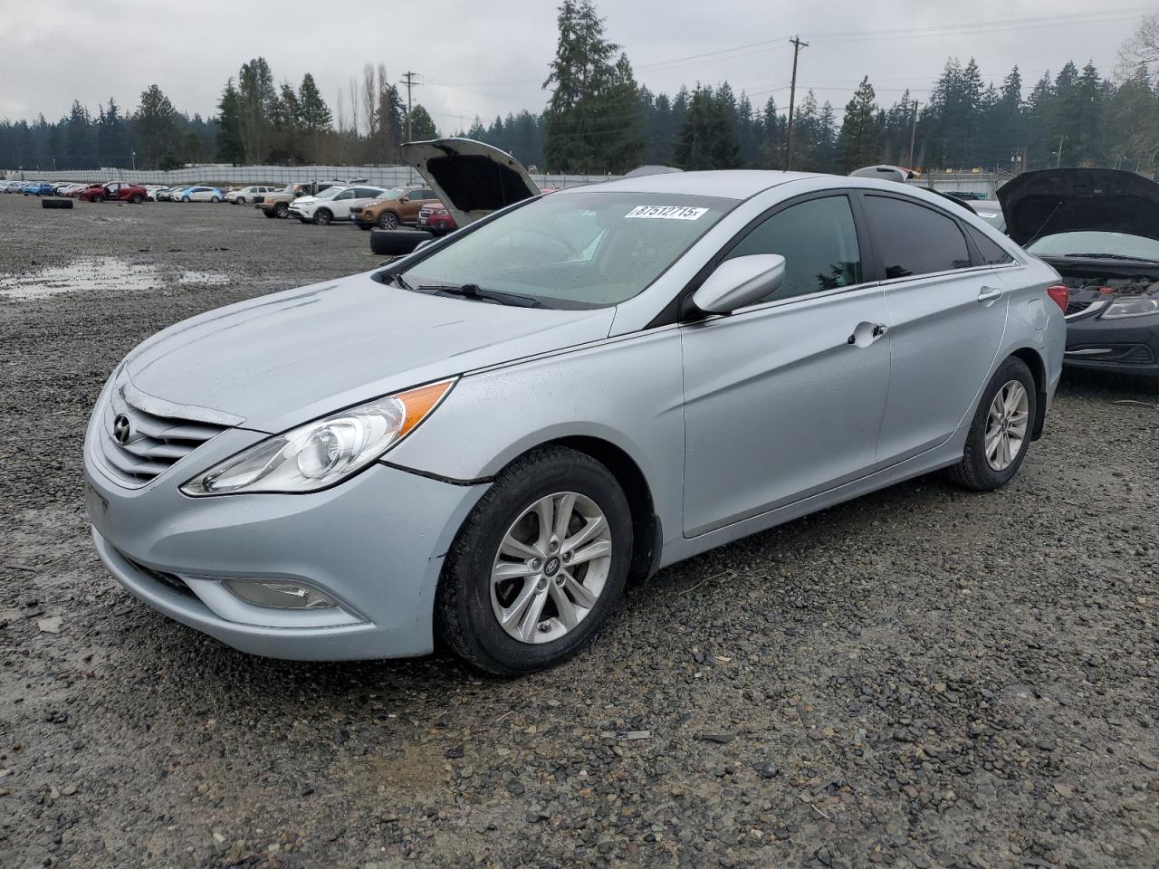 VIN 5NPEB4AC7DH705287 2013 HYUNDAI SONATA no.1