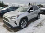 2019 Toyota Rav4 Limited zu verkaufen in Bowmanville, ON - Vandalism