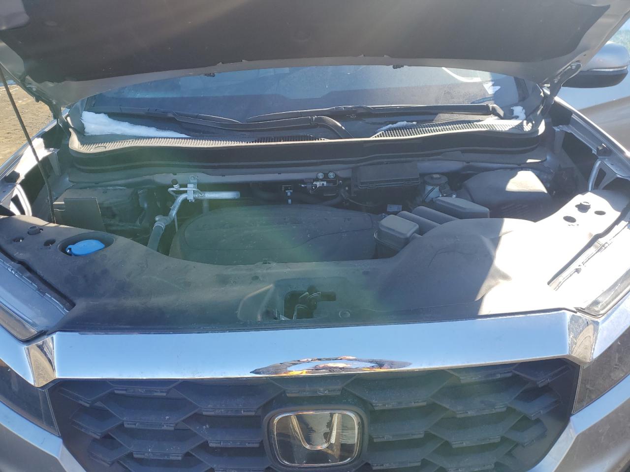 2023 Honda Passport Exl VIN: 5FNYF8H56PB037064 Lot: 88038885