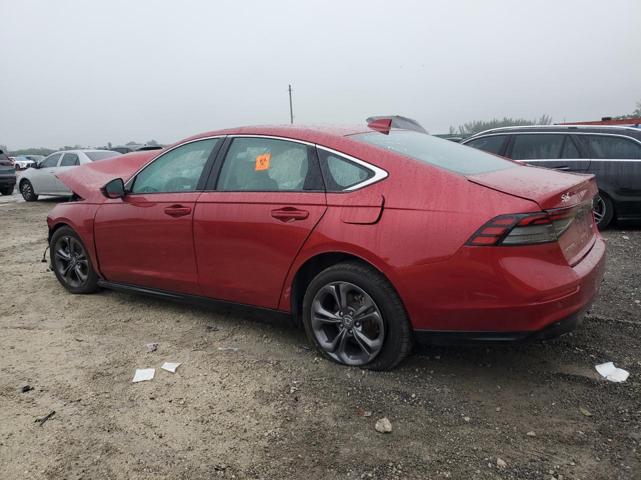 2024 Honda Accord - Image 2