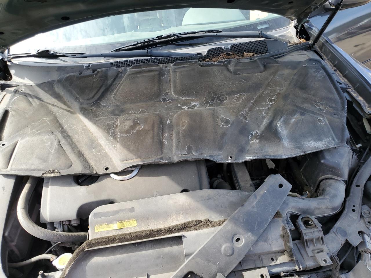 2007 Nissan Maxima Se VIN: 1N4BA41E77C819139 Lot: 88664065