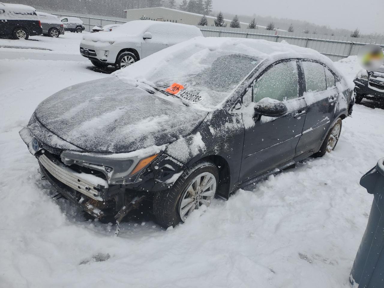 2024 Toyota Corolla - Image 1