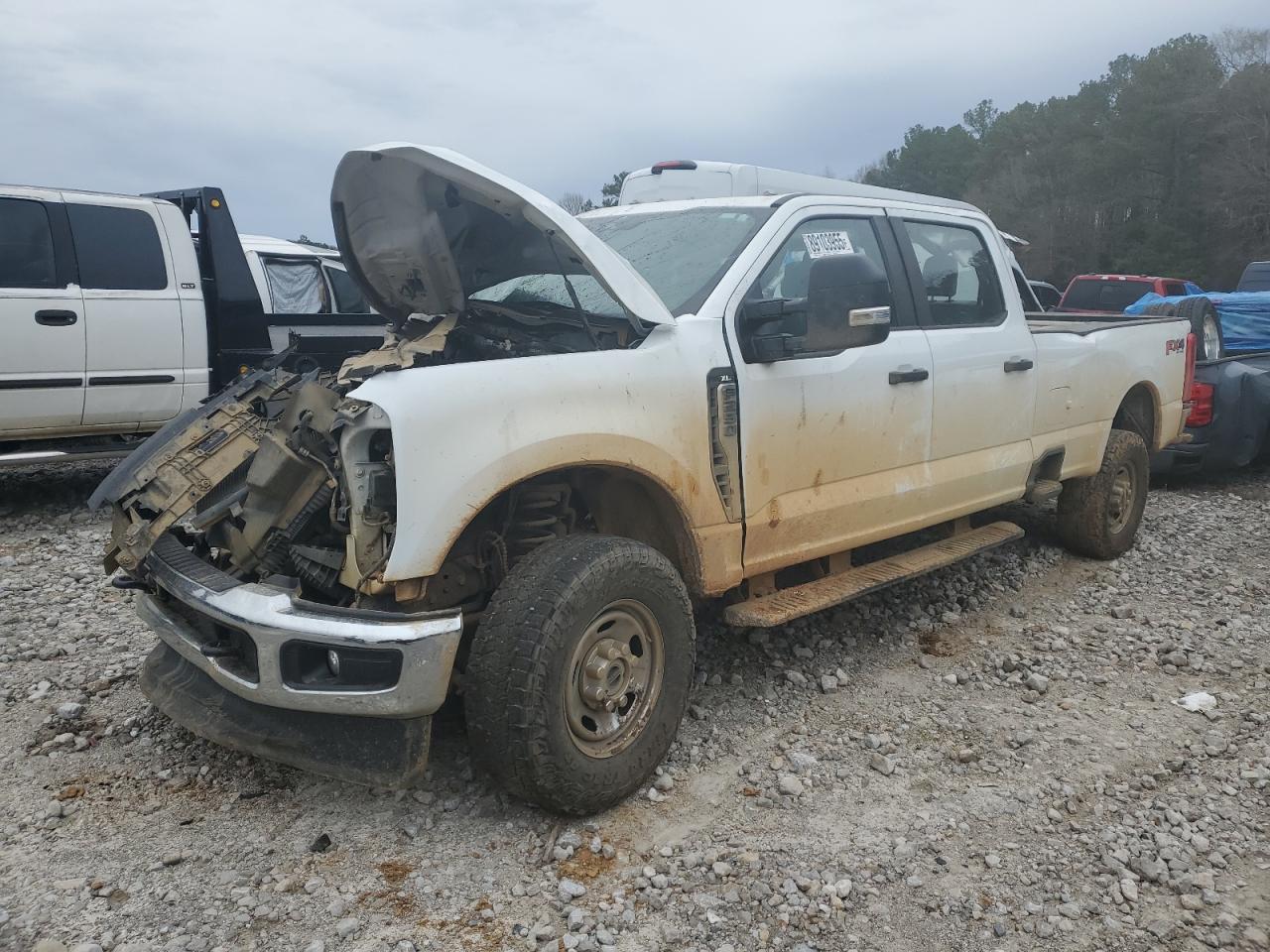 2023 Ford F250 - Image 1