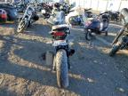 2024 Honda Cbf300 Na for Sale in Elgin, IL - All Over
