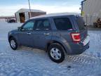 2011 Ford Escape Xlt იყიდება Rapid City-ში, SD - Hail