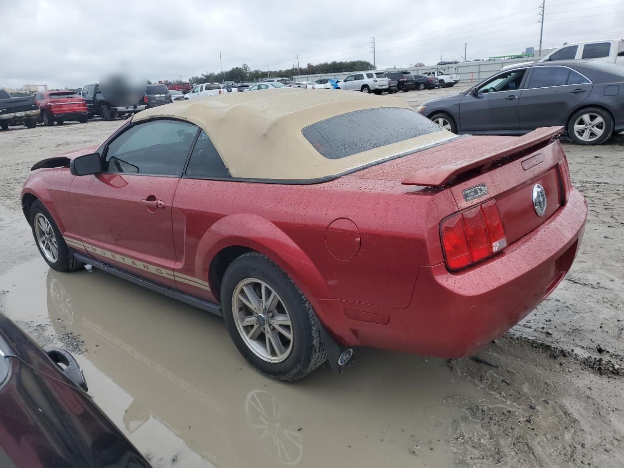 2005 Ford Mustang - Image 2