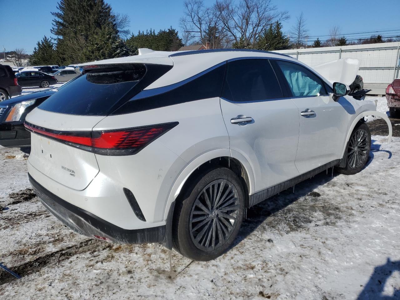 2024 Lexus RX - Image 3