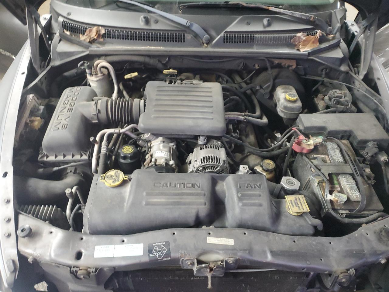 2001 Dodge Dakota - Image 12