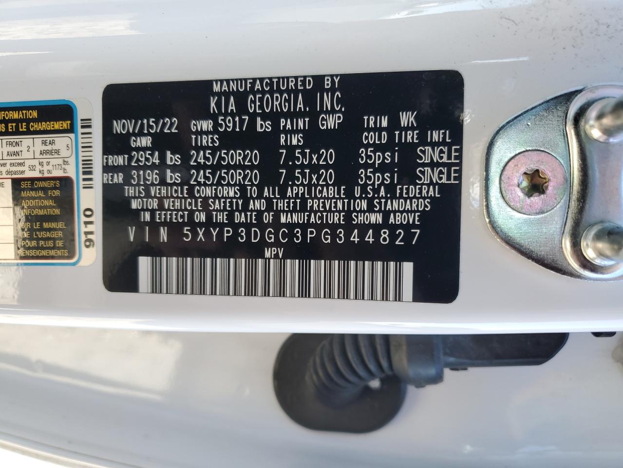 2023 Kia Telluride Ex VIN: 5XYP3DGC3PG344827 Lot: 41464835
