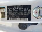 2023 Kia Telluride Ex იყიდება Taylor-ში, TX - Front End