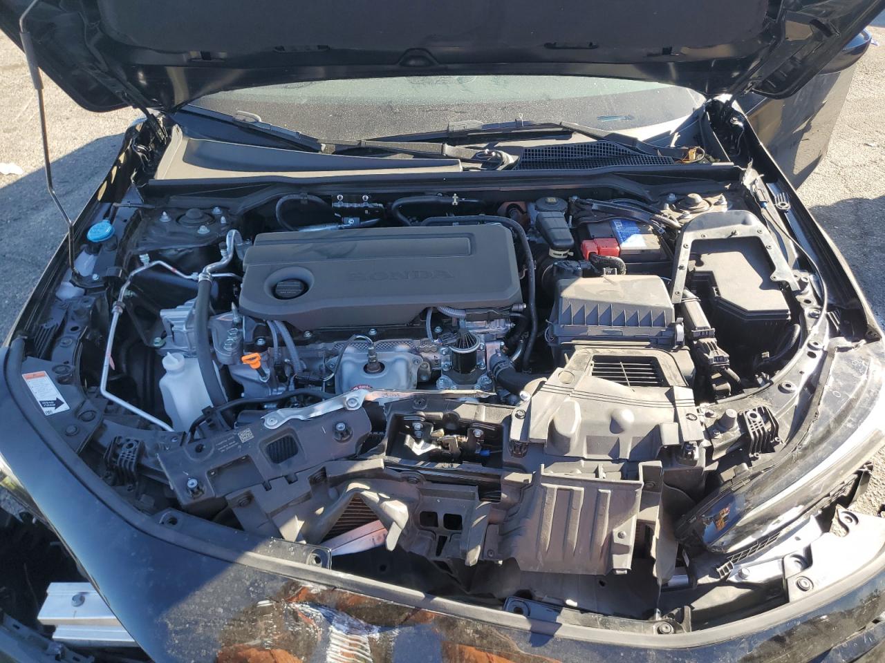 2025 Honda Civic - Image 11