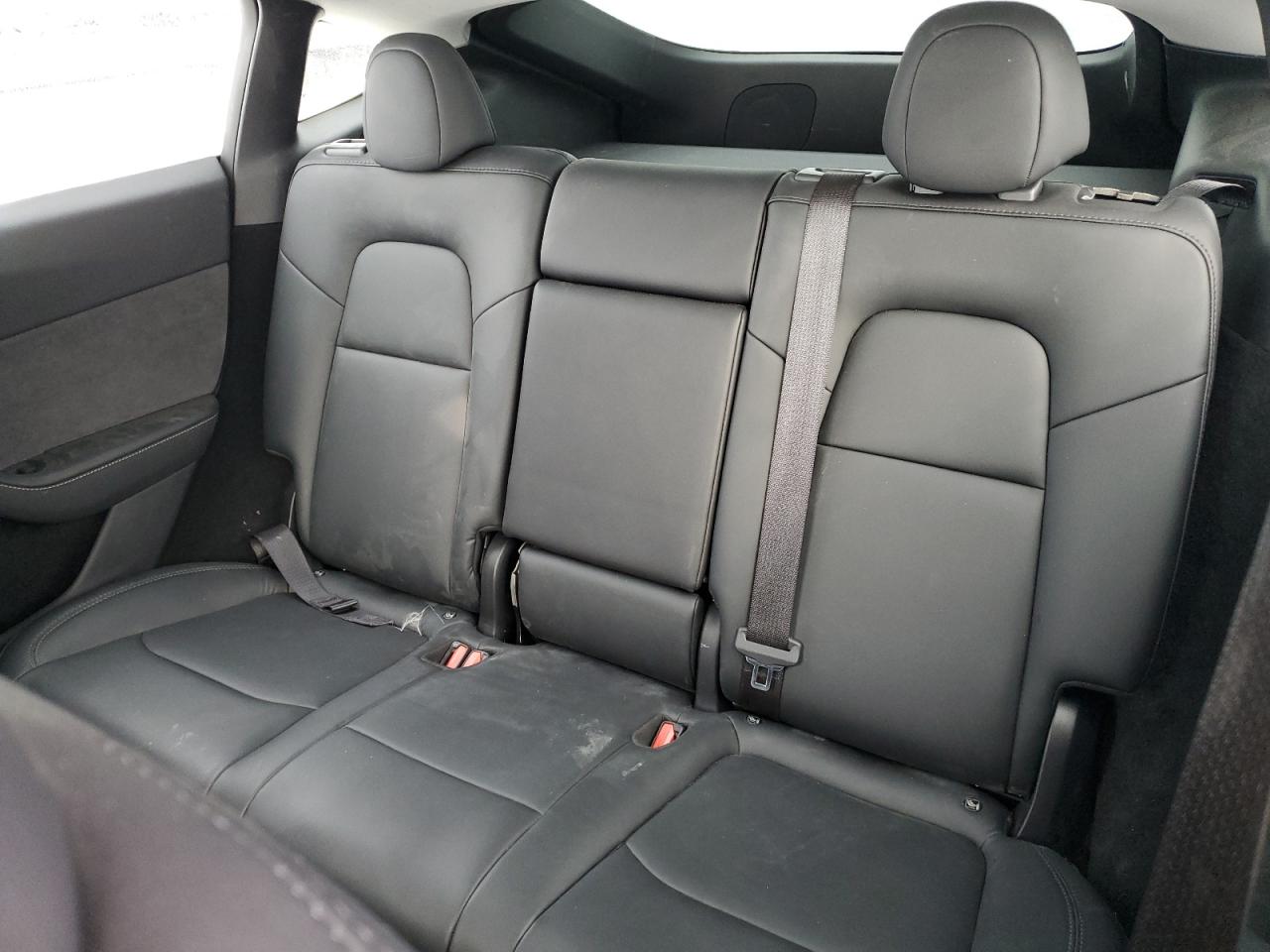 2024 Tesla Model Y VIN: 7SAYGDEE0RA253280 Lot: 88710835