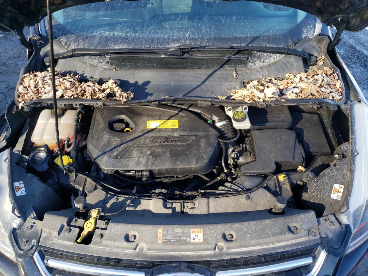 2014 Ford Escape - Image 12