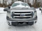 2014 Ford F150 Supercrew للبيع في Cookstown، ON - Minor Dent/Scratches