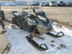 2021 Skidoo Summit for Sale in Littleton, CO - Front End