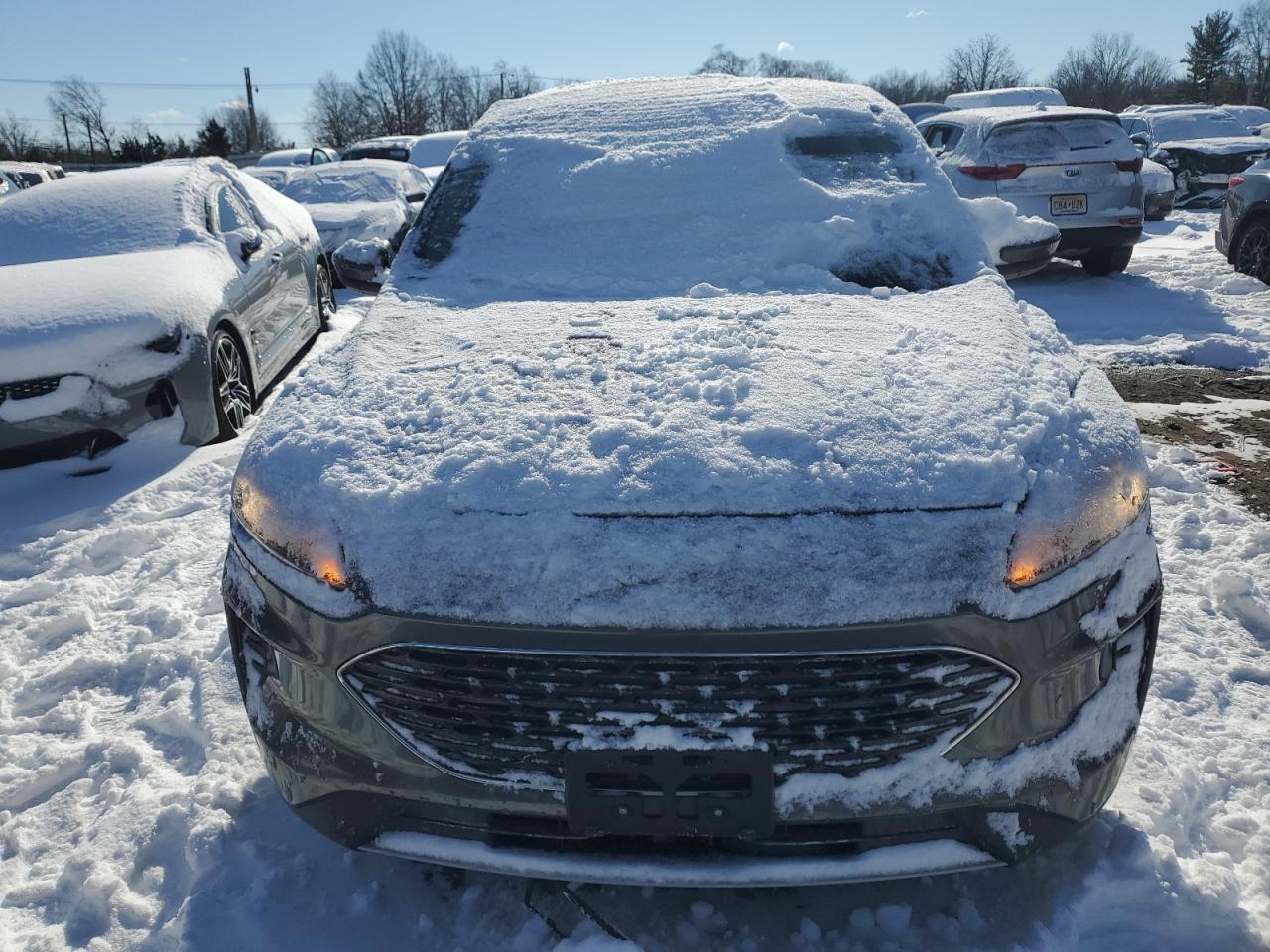 2020 Ford Escape - Image 5