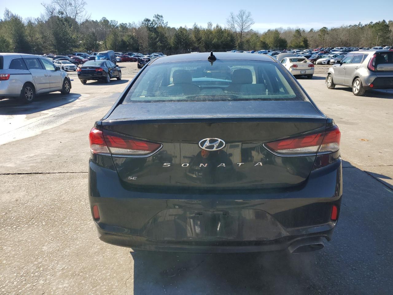 2019 Hyundai Sonata - Image 6