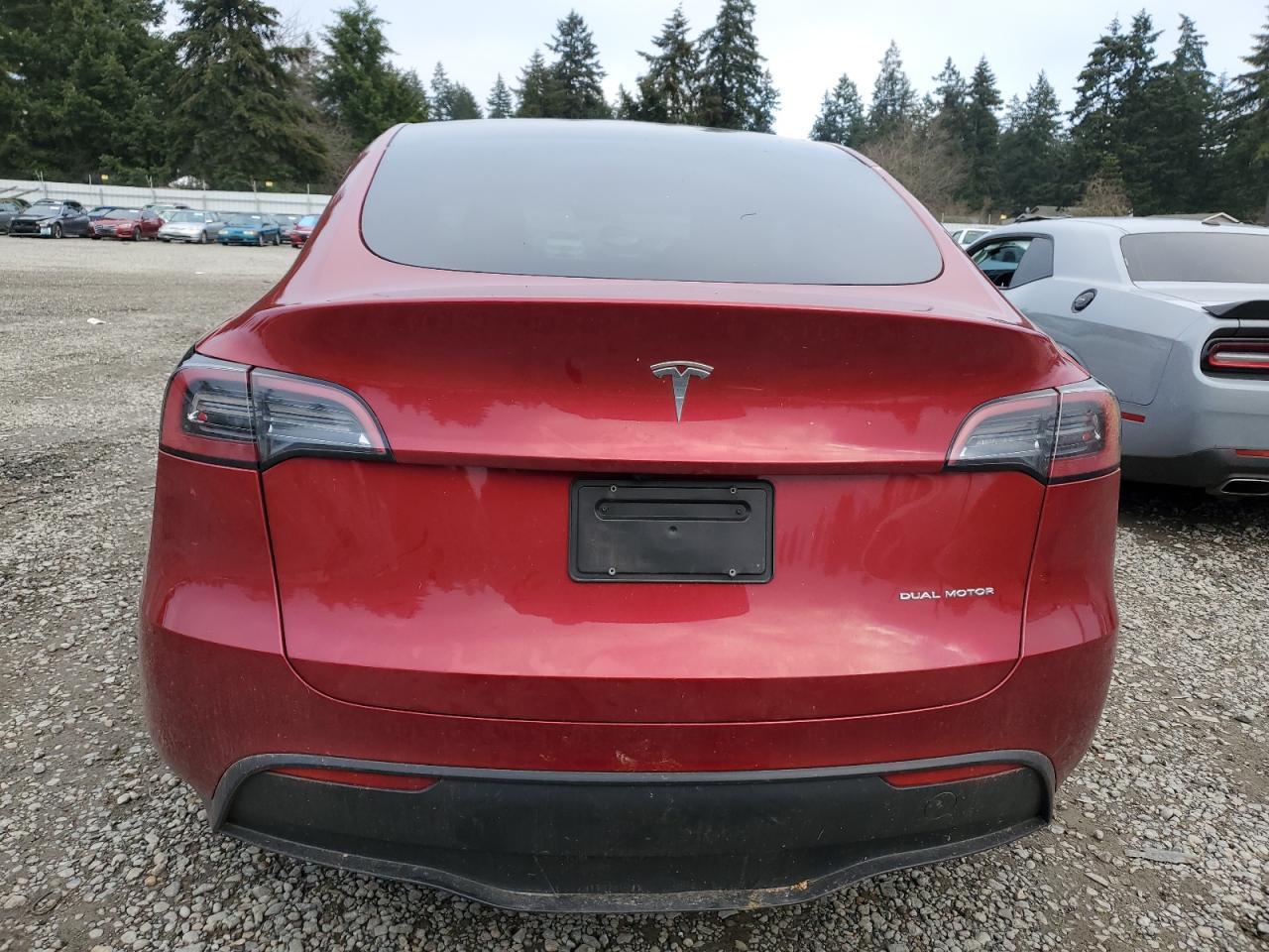 2024 Tesla Model Y VIN: 7SAYGDEE3RF014258 Lot: 88311165