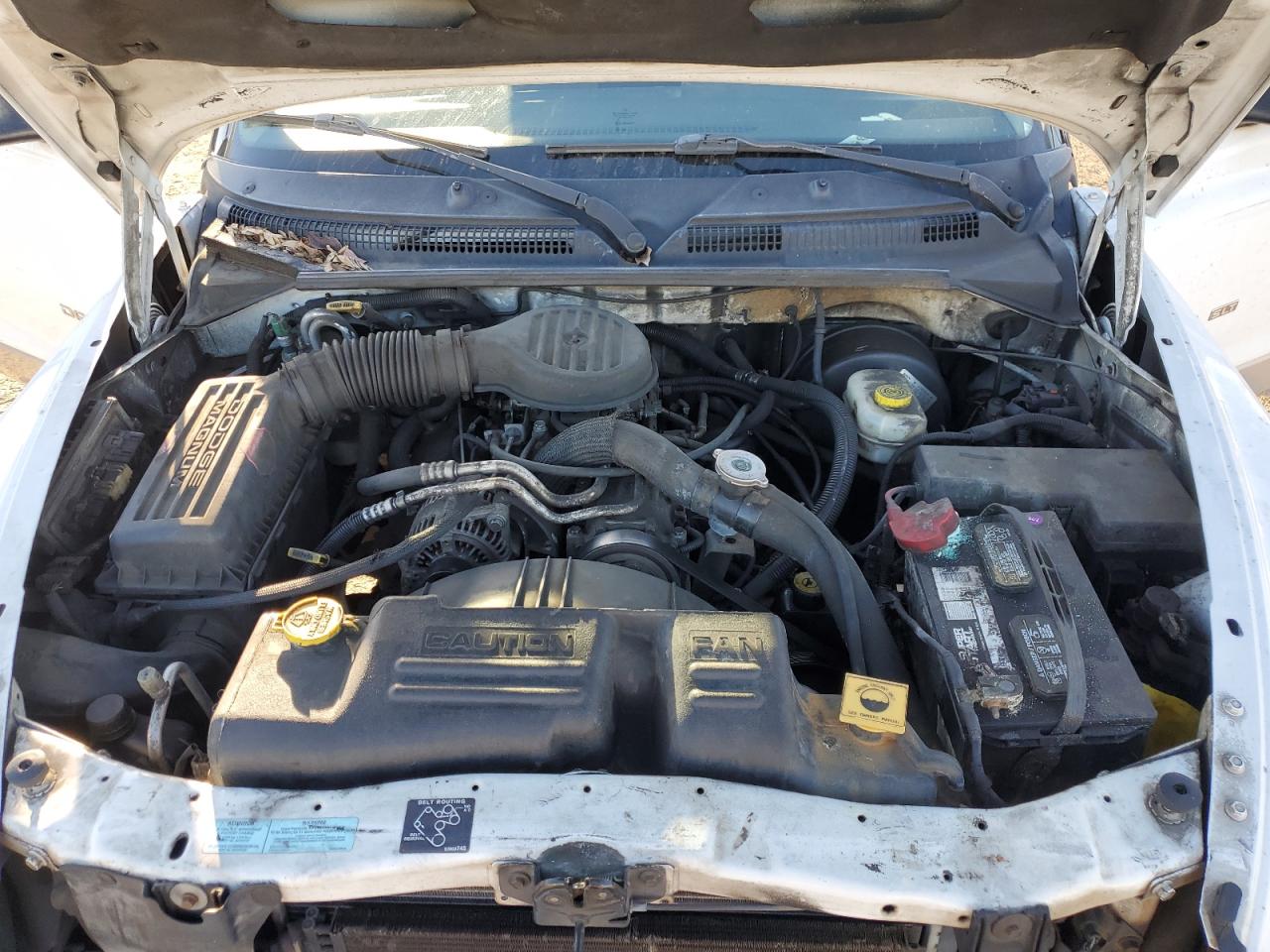 2001 Dodge Dakota VIN: 1B7GL22X21S192586 Lot: 88133815