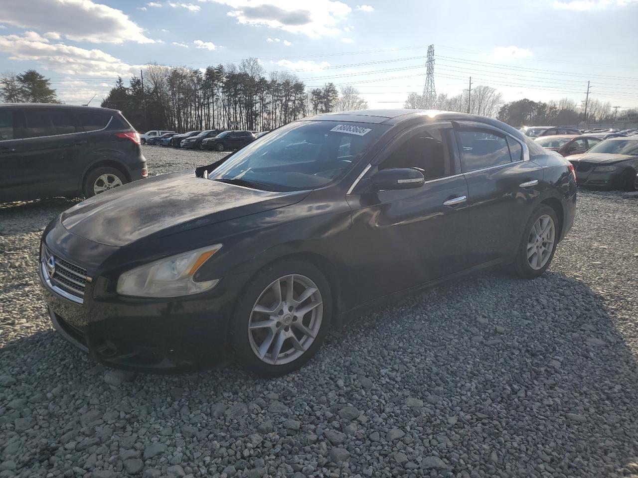 2010 Nissan Maxima - Image 1