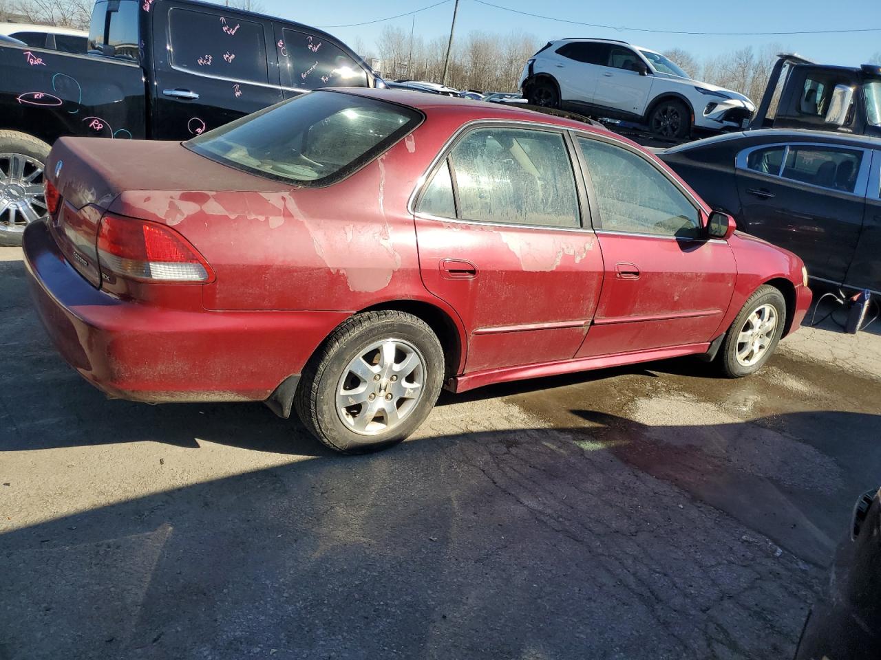 2002 Honda Accord - Image 3
