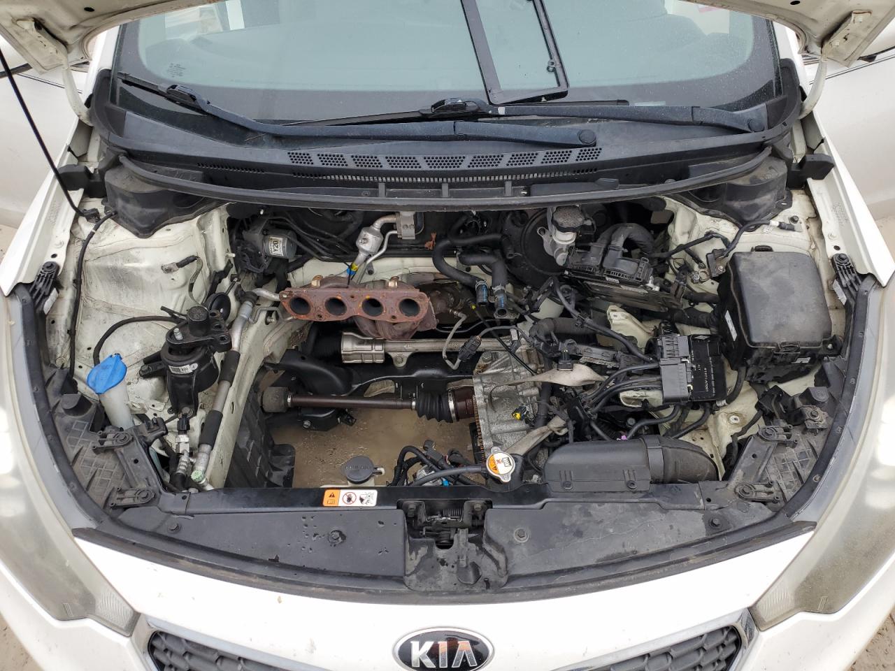2016 Kia Forte - Image 11