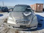 2005 Honda Odyssey Ex за продажба в Elgin, IL - Front End