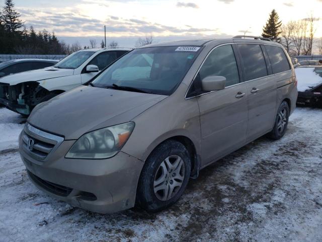 2005 Honda Odyssey Exl