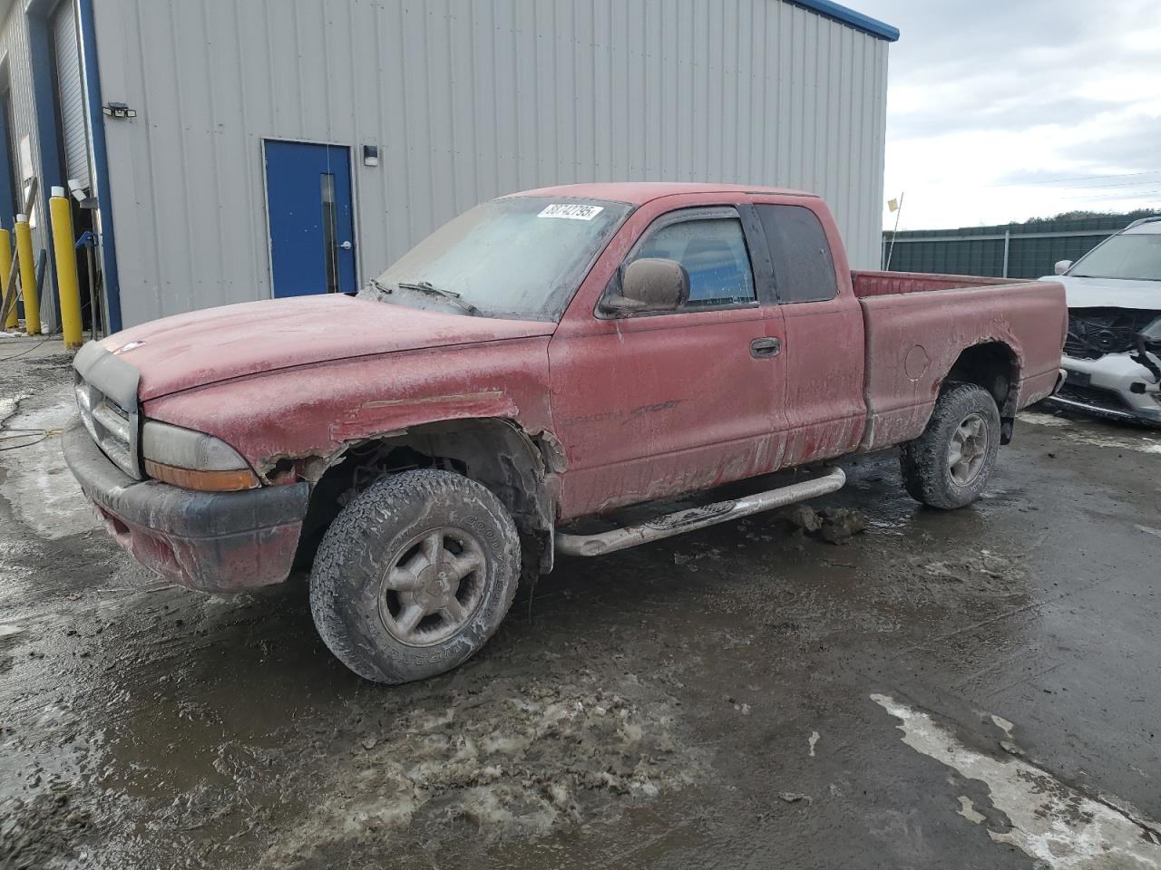 Dodge Dakota