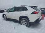 2021 Toyota Rav4 Xle en Venta en Wayland, MI - Front End