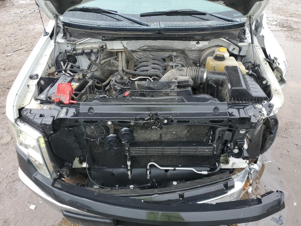 2014 Ford F-150 - Image 13