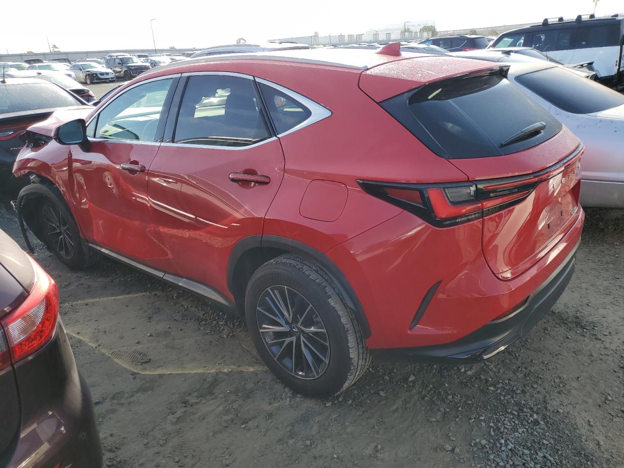 2024 Lexus NX - Image 2