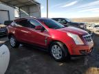 2012 Cadillac Srx Luxury Collection na sprzedaż w Albuquerque, NM - Front End