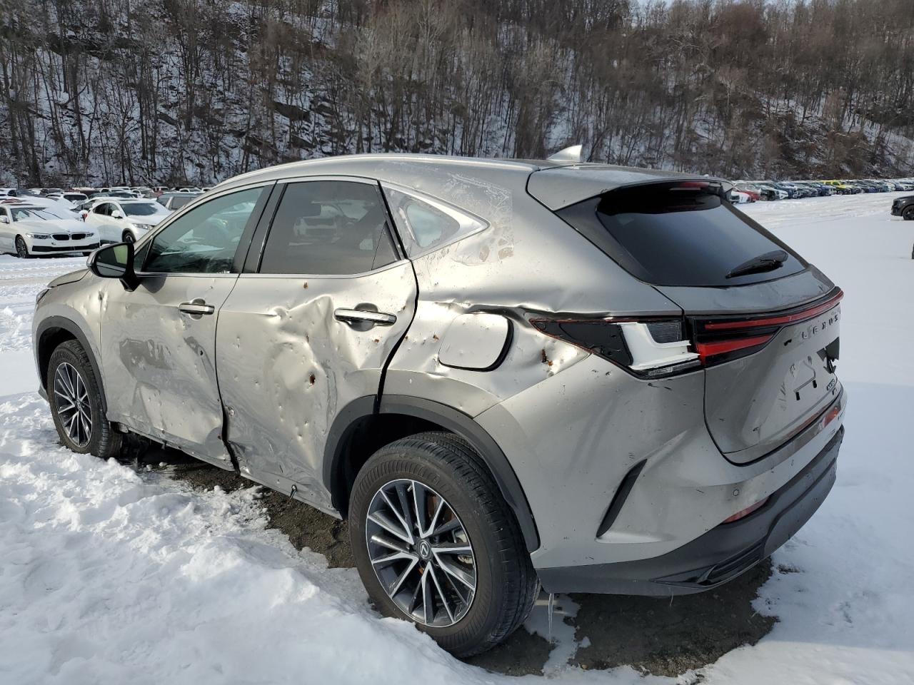 2023 Lexus NX - Image 2