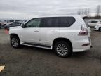 2018 Lexus Gx 460 en Venta en Arlington, WA - Front End