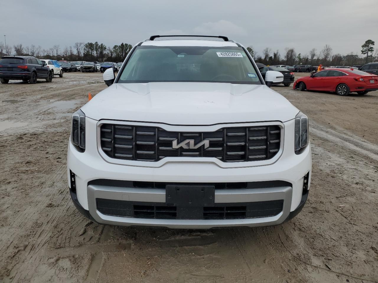 2024 Kia Telluride - Image 5