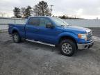 2010 Ford F150 Supercrew продається в Albany, NY - Rear End