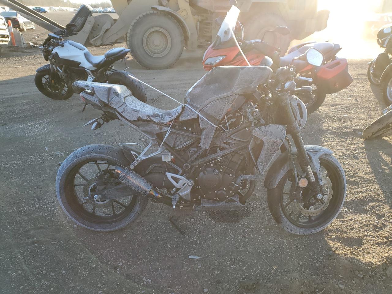 2024 Honda Cbf300 Na for Sale in Elgin, IL - All Over