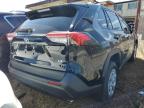 2024 Toyota Rav4 Le for Sale in Kapolei, HI - Front End