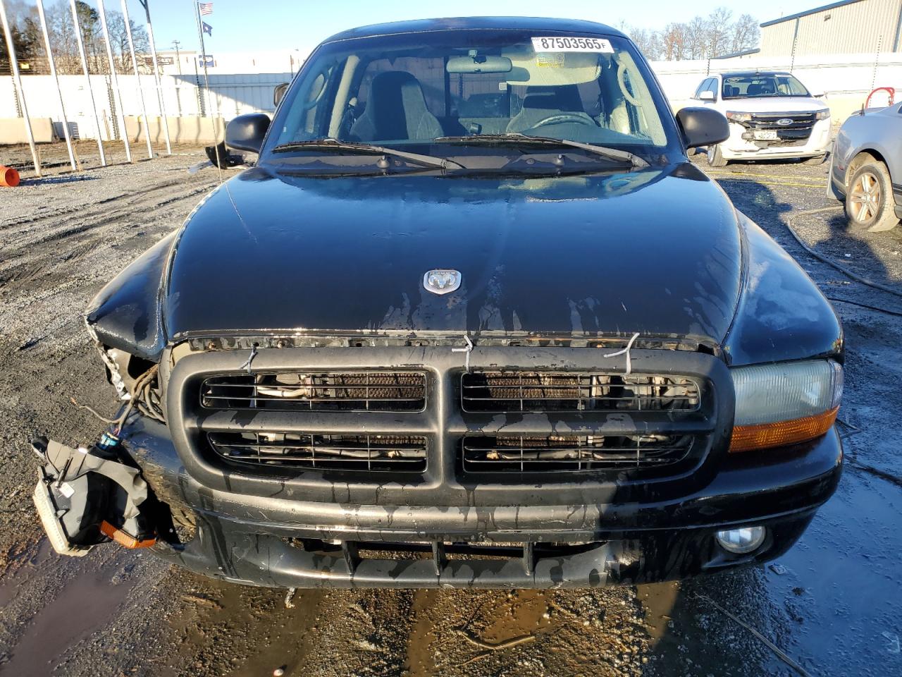 2003 Dodge Dakota - Image 5