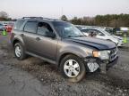 2012 Ford Escape Xlt for Sale in Florence, MS - Front End